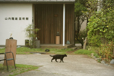 山内龍雄芸術館の黒猫